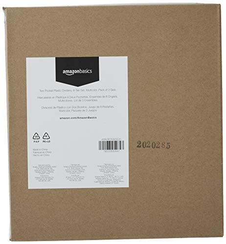 Classic Basics Tab Dividers for 3 Ring Binder, Two for Daily Use