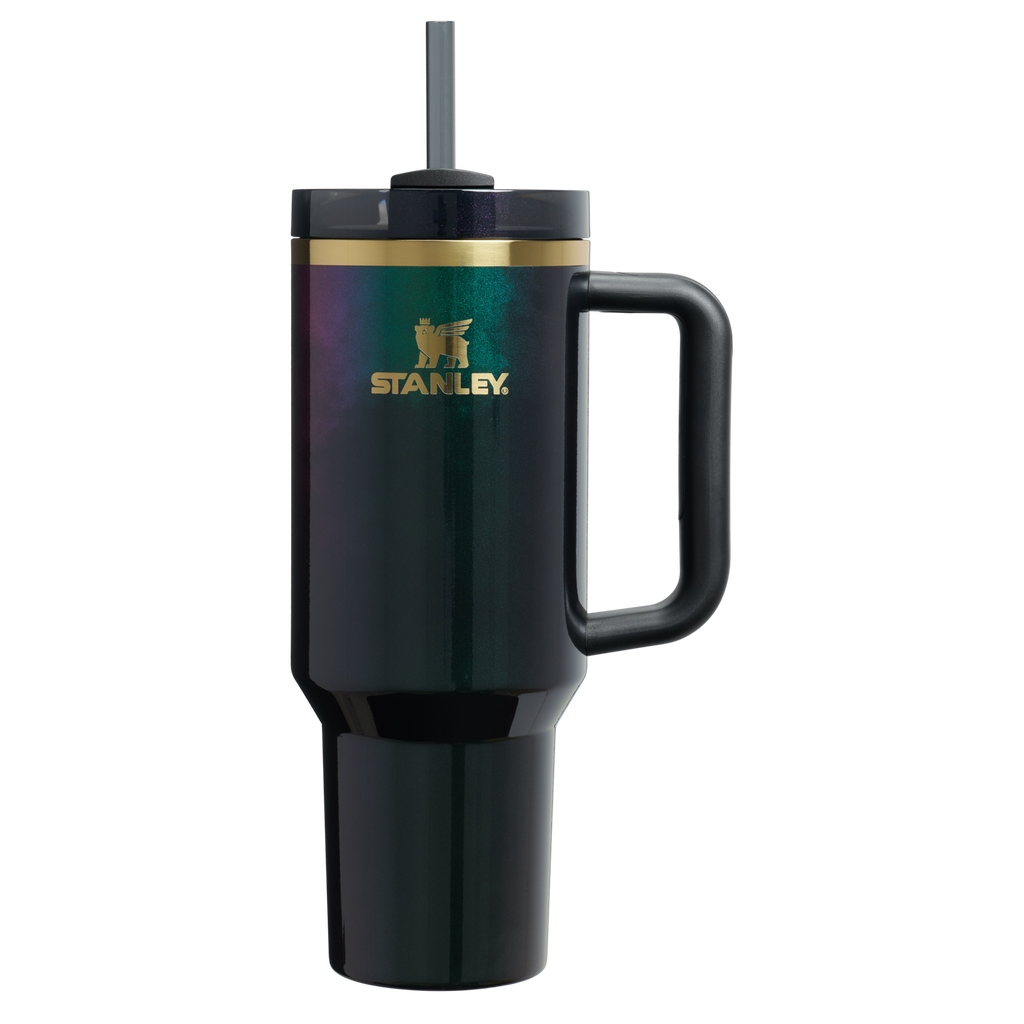 Splash-Resistant FlowState The Wicked for Good Quencher H2.0 Flowstate Tumbler D245R - Premium Stainless Steel Straw Cup for All-Day Hydration - Elphaba For Good