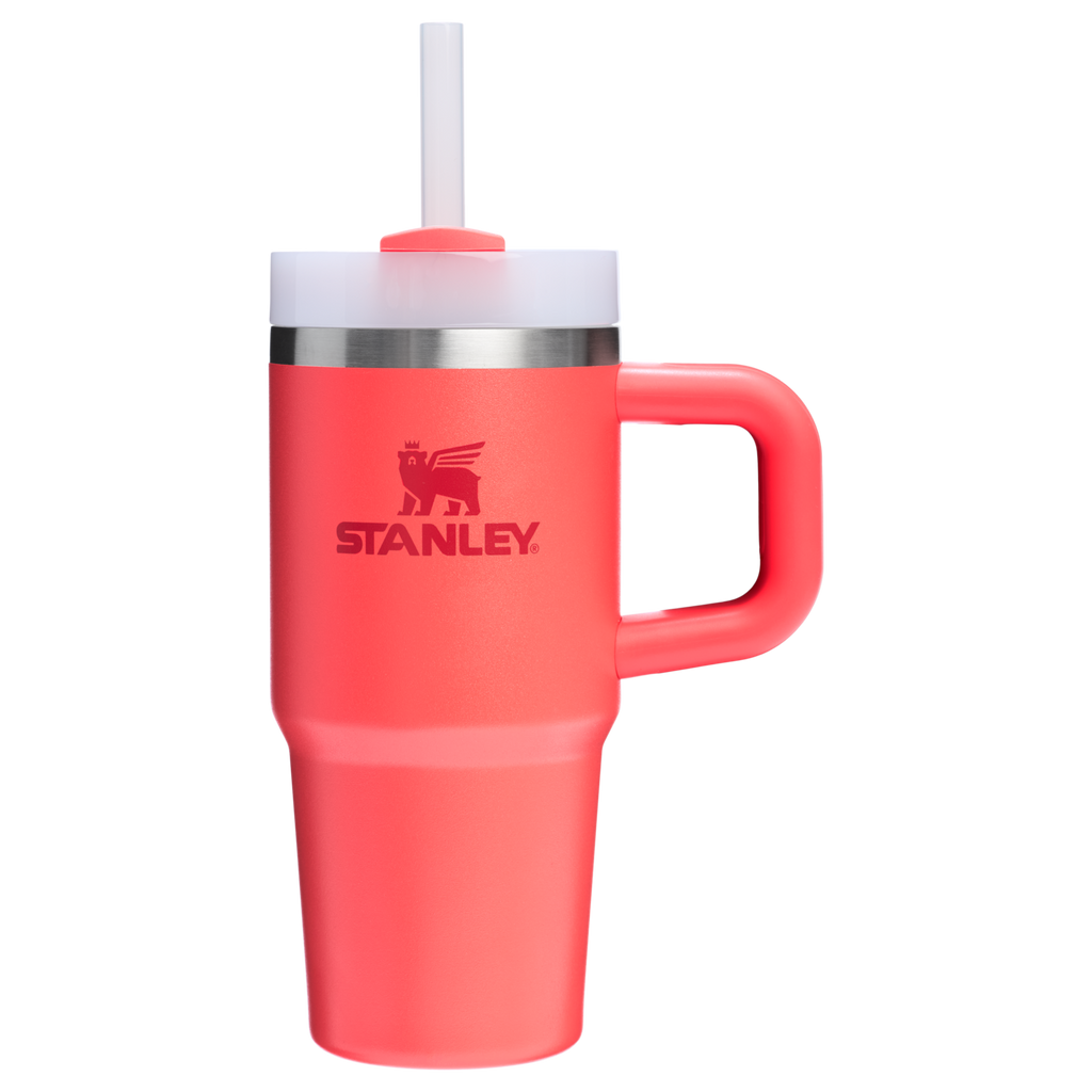 Splash-Resistant FlowState The Quencher H2.O Flowstate Tumbler D068Z - Premium Stainless Steel Straw Cup for All-Day Hydration Detail