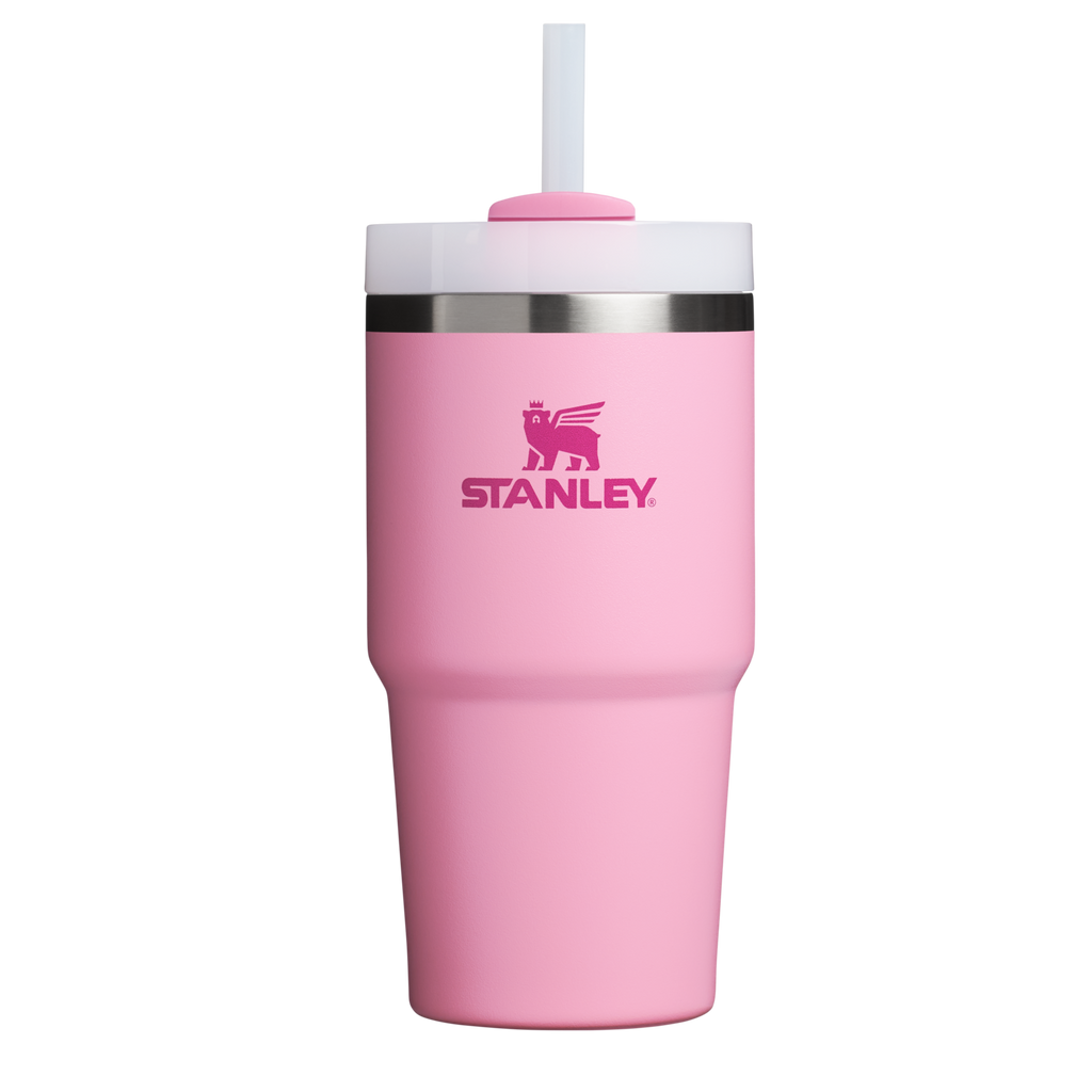 Car-Cup Friendly The Quencher H2.0 Flowstate Tumbler D030T - Double-Wall Vacuum Insulated Travel Tumbler with Straw - Ash
